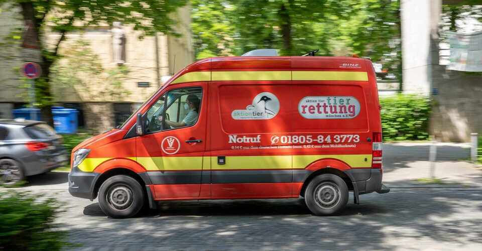 Neuer Rettungswagen für Münchner Tier-Notärzte