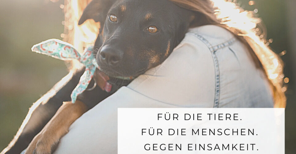 Unser größter Wunsch fürs neue Jahr: Volle Näpfe &amp; gesunde Tiere