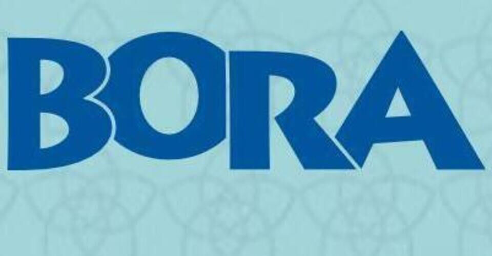 Immediate assistance after fleeing violence through Bora e.V.