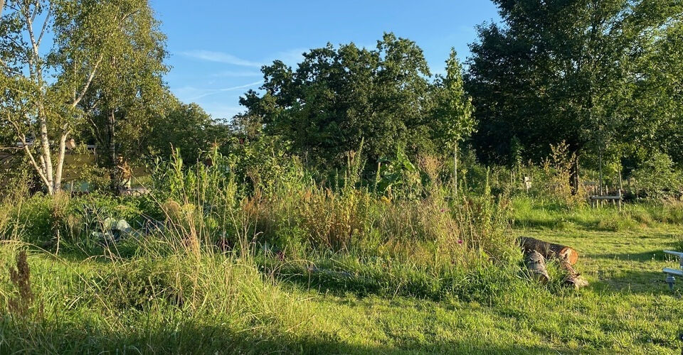 The Berlin forest garden as a climate-resilient biodiversity site
