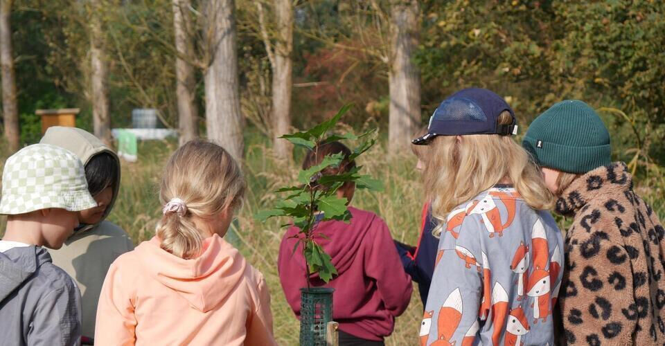 Strengthening forest knowledge for children – supporting training to become a forest coach
