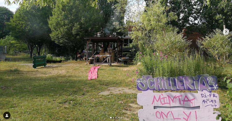 Donate to RosaMinta* (formerly Schilleria 2)