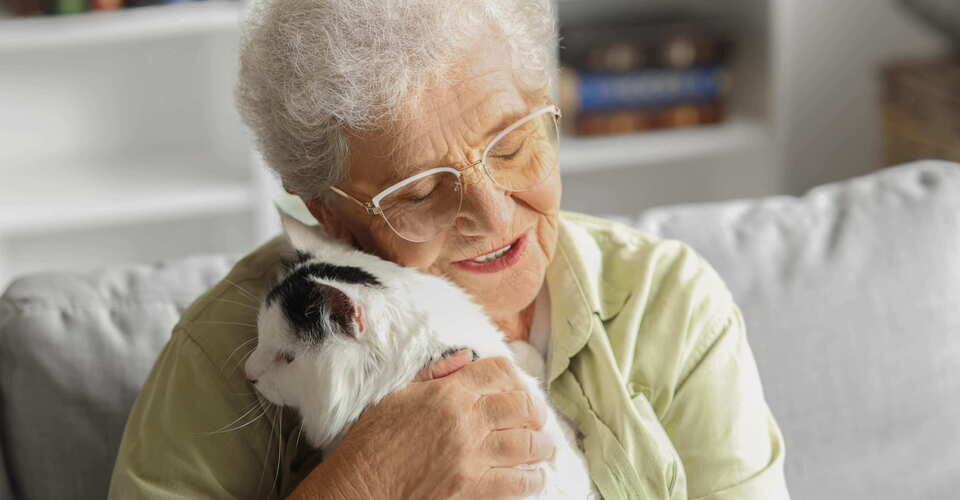 Four Paws Against Loneliness