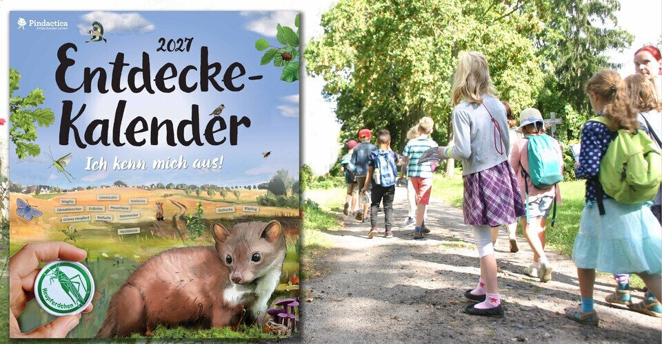 The Entdecke Calendar 2027: A Year Full of Nature Experiences