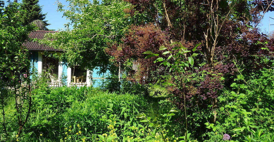 Gartenglück für Kinder