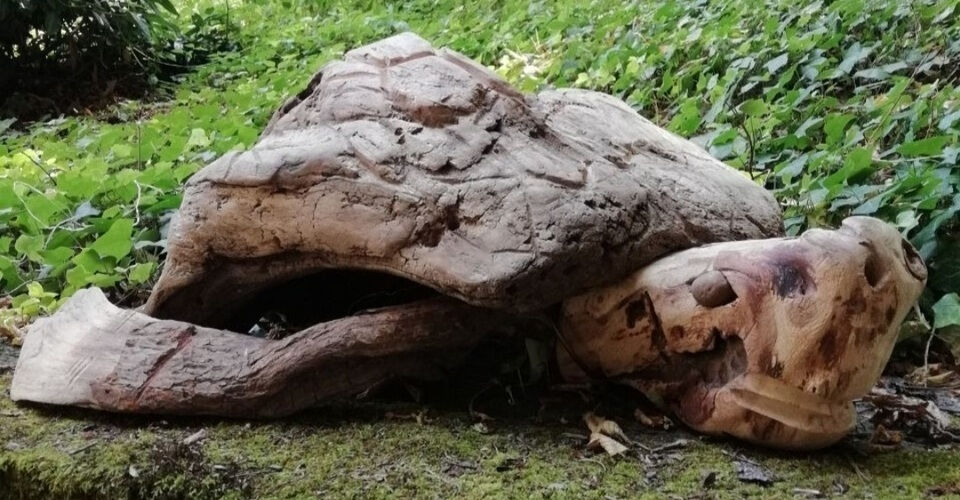Wild Creatures from Driftwood