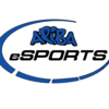Ariba eSports-Team