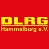 DLRG OrtsverbandBw Hammelburg